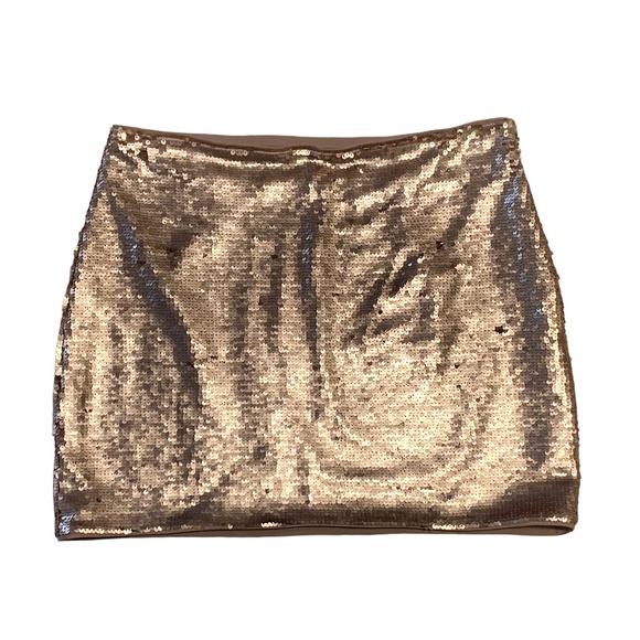 Banana Republic Factory Dresses & Skirts - Banana Republic Rose Gold Sequin Skirt